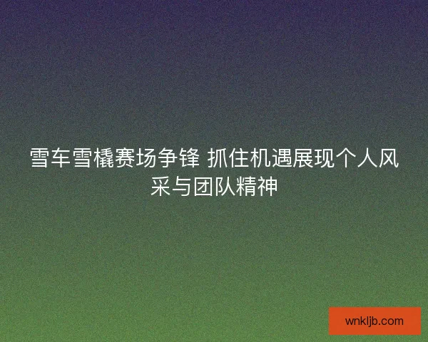 雪车雪橇赛场争锋 抓住机遇展现个人风采与团队精神 雪车雪橇赛场争锋 抓住机遇展现个人风采与团队精神